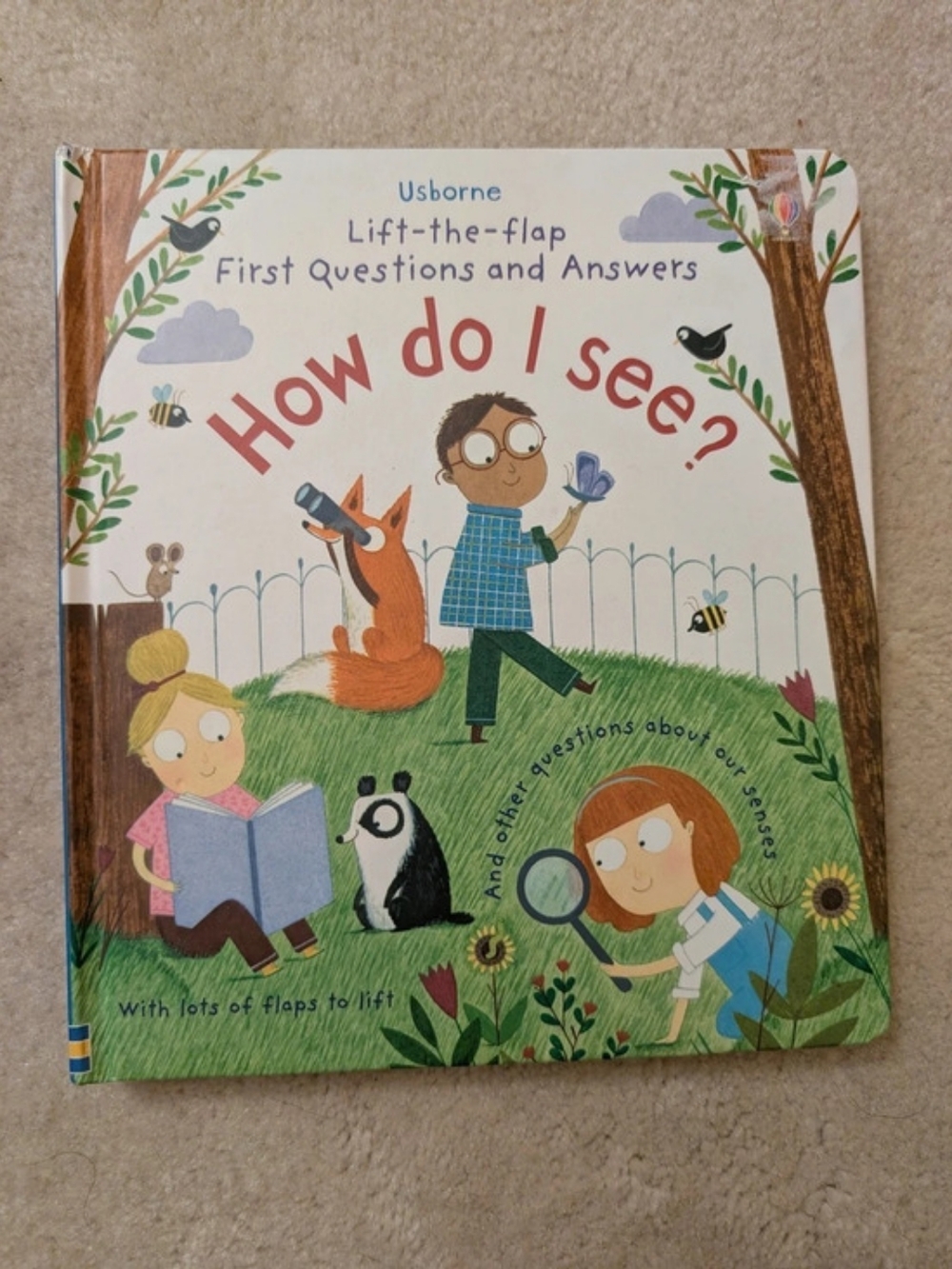 Usborne Lift-the-Flap First Questions and Answers: How do I see? Lift-the-Flap